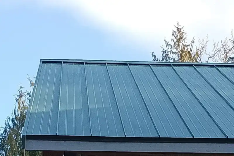Green standing-seam metal roof against a blue sky